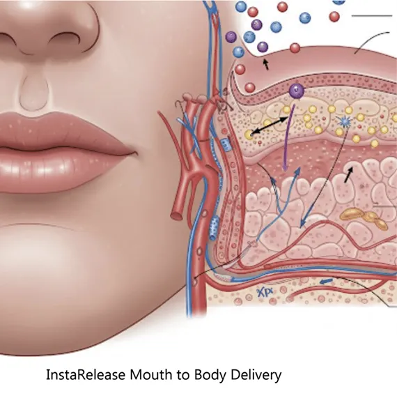 Cross-section diagram showing a strip dissolving on the mouth lining and actives passing into the blood vessels beneath